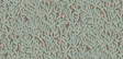 Kravet CORAL 31 Wallpaper