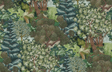 Kravet MISERDEN TREES 01 Wallpaper