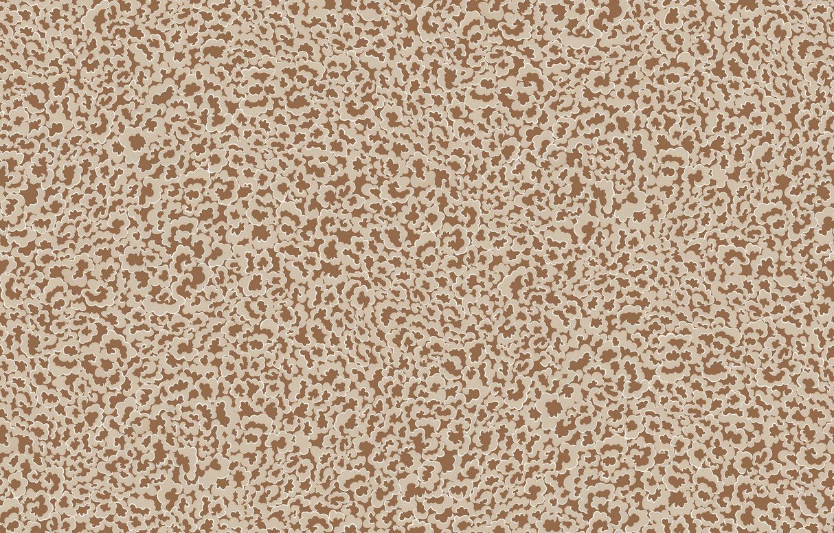 Kravet CLOUDS 01 Wallpaper