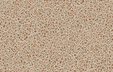Kravet CLOUDS 01 Wallpaper