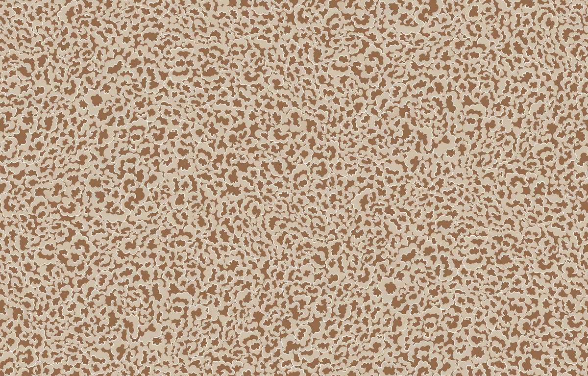 Kravet CLOUDS 01 Wallpaper