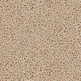 Kravet CLOUDS 01 Wallpaper