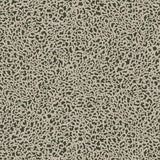 Kravet CLOUDS 11 Wallpaper