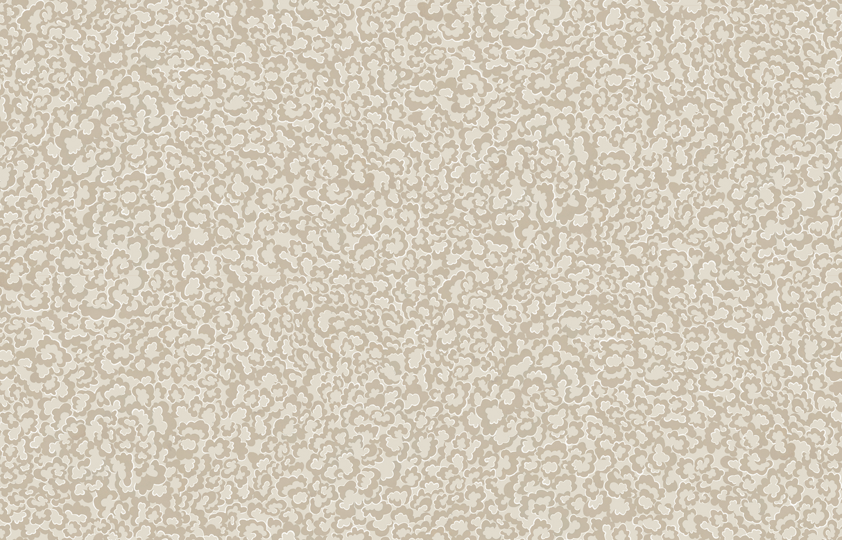 Kravet CLOUDS 21 Wallpaper