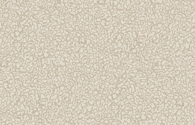 Kravet CLOUDS 21 Wallpaper