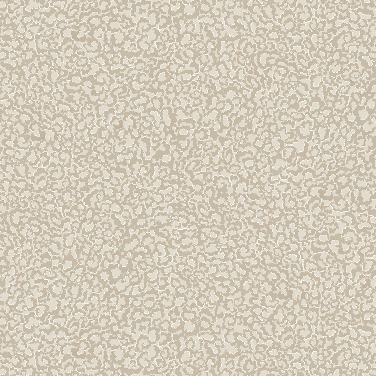 Kravet CLOUDS 21 Wallpaper