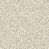 Kravet CLOUDS 21 Wallpaper