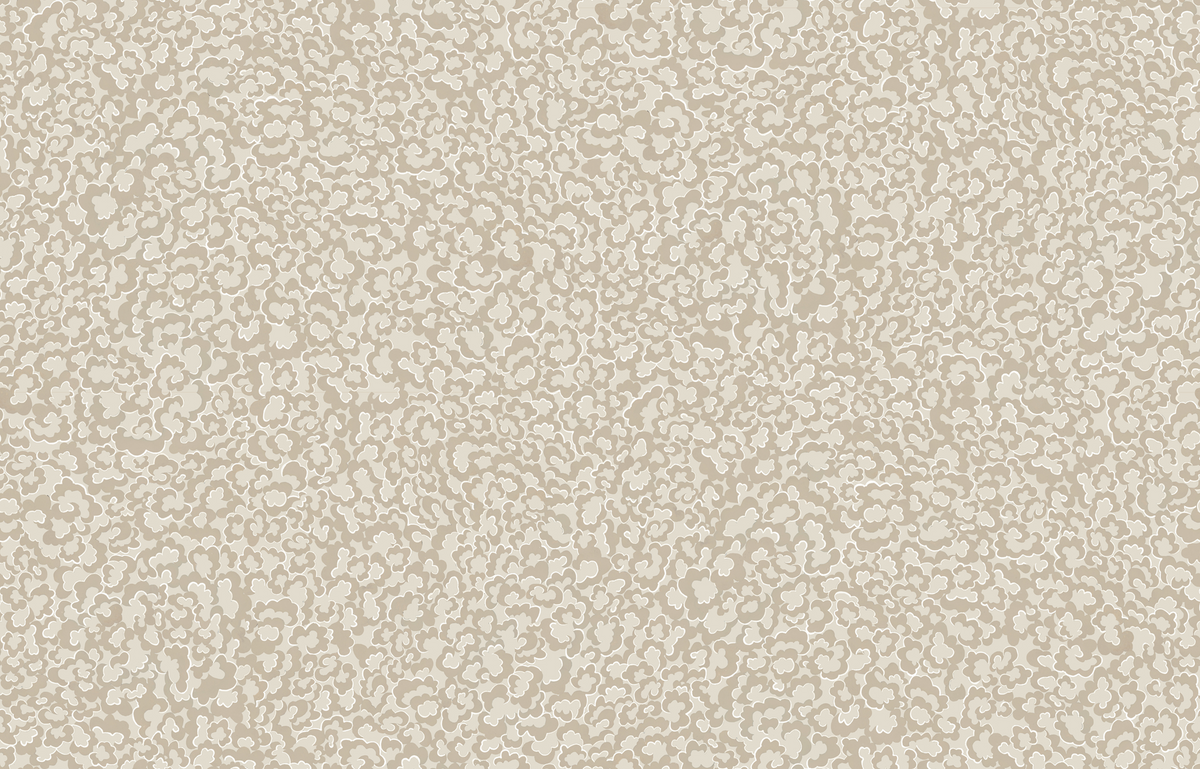 Kravet CLOUDS 21 Wallpaper