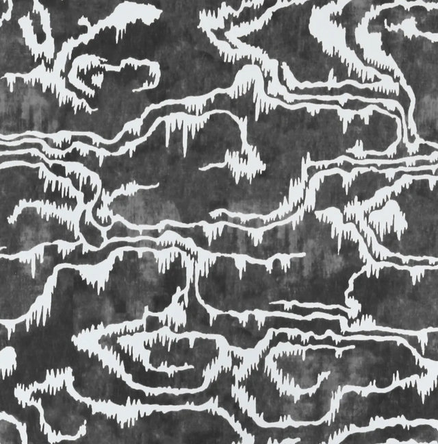 Lee Jofa RIVIERE WP BLACK Wallpaper