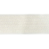 Kravet CHAINLINK TAPE SILVER Trim