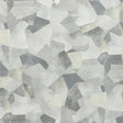 Kravet TAVORO PLATINUM Fabric
