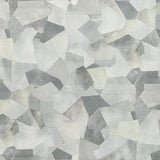 Kravet TAVORO PLATINUM Fabric