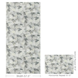 Kravet TAVORO PLATINUM Fabric