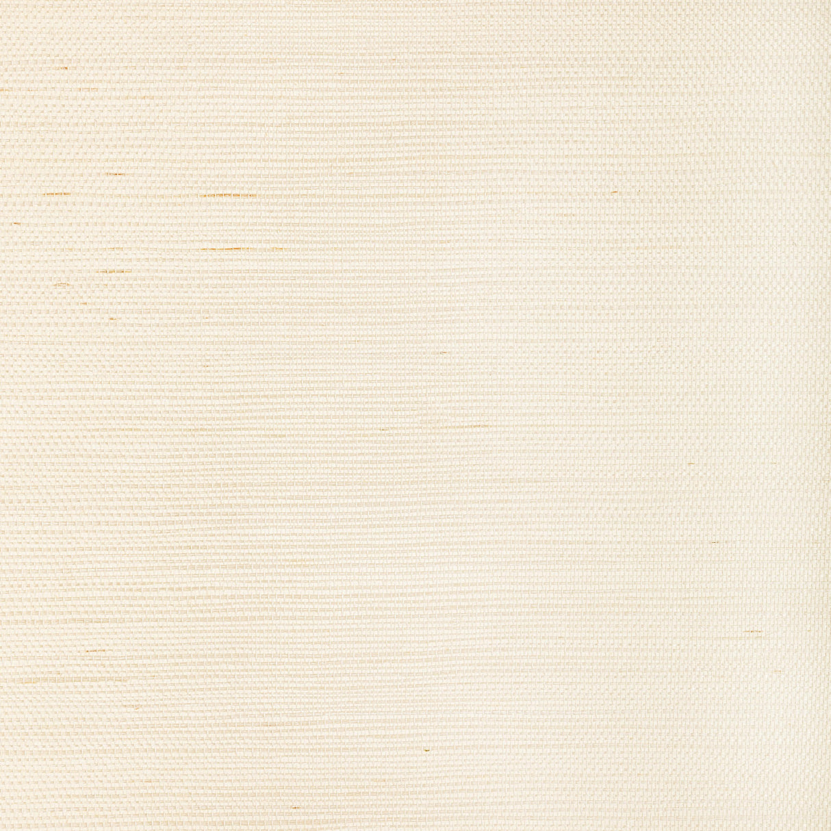 Kravet LUXE SISAL BONE Wallpaper