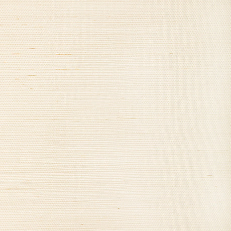 Kravet LUXE SISAL BONE Wallpaper