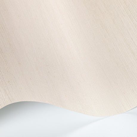 Kravet LUXE SISAL BONE Wallpaper