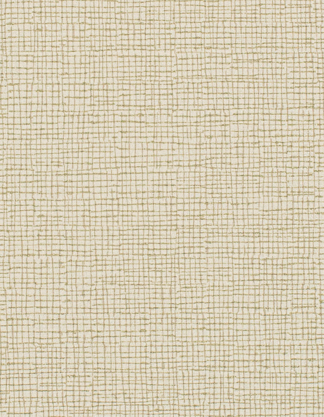 Winfield Thybony CANVAS DUNE Wallpaper