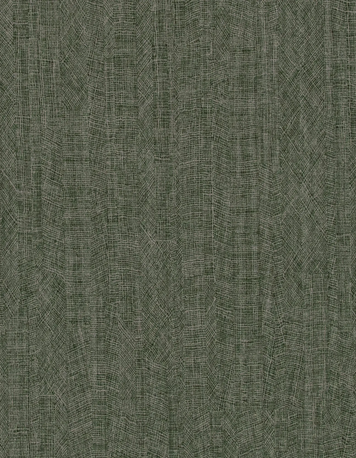 Winfield Thybony IMPRESSION FOREST Wallpaper