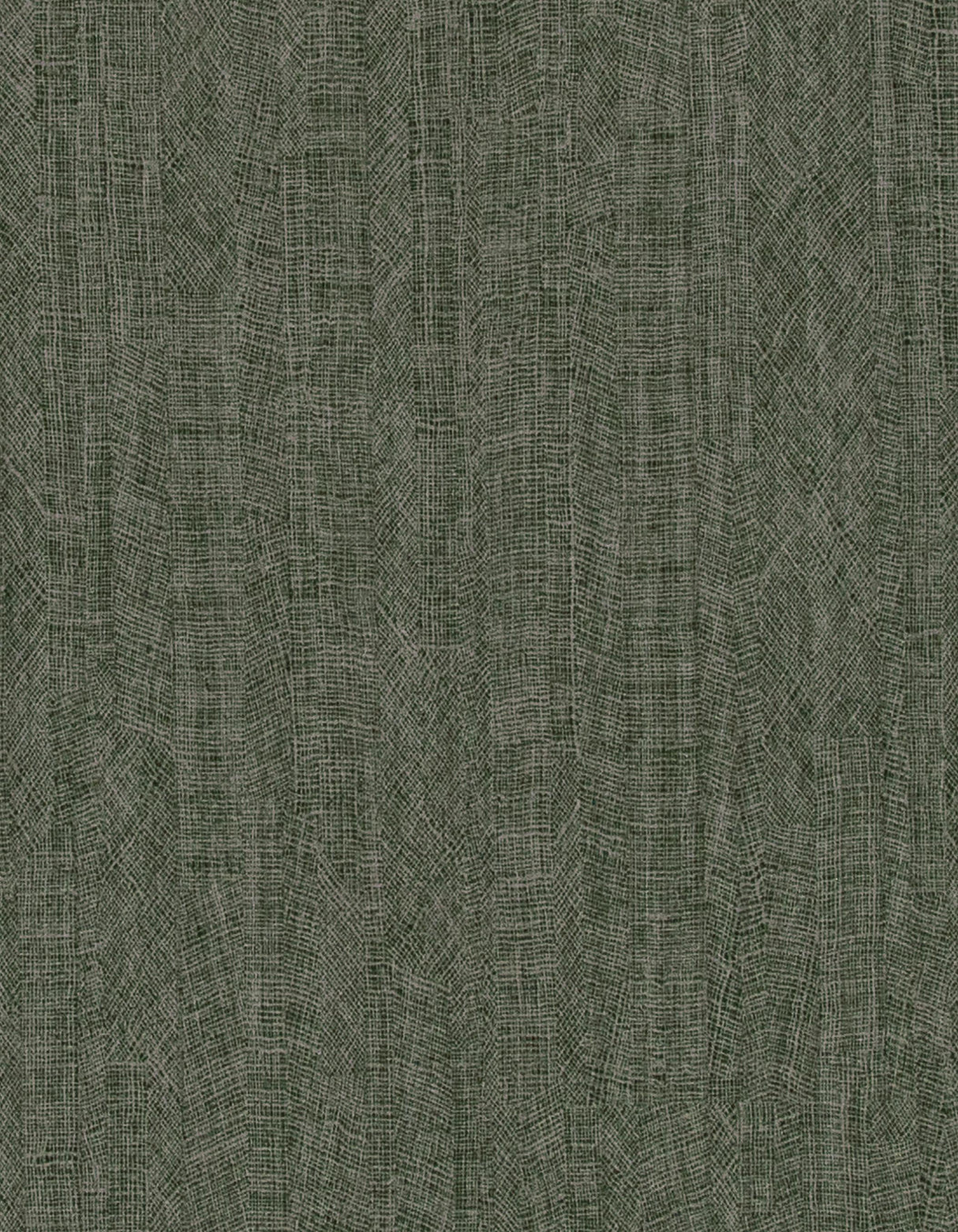 Winfield Thybony IMPRESSION FOREST Wallpaper