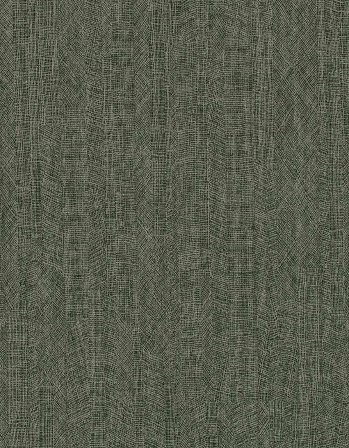 Winfield Thybony IMPRESSION FOREST Wallpaper