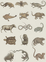 MindTheGap ARK OF SEBA NATURE Wallpaper