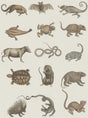 MindTheGap ARK OF SEBA NATURE Wallpaper