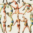 MindTheGap THE ACROBATS CIRCUS Wallpaper