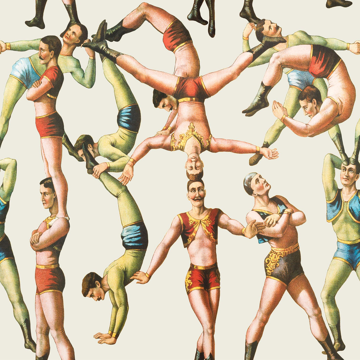 MindTheGap THE ACROBATS CIRCUS Wallpaper