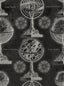 MindTheGap ARMILLARY ANTHRACITE DISCOVERY Wallpaper