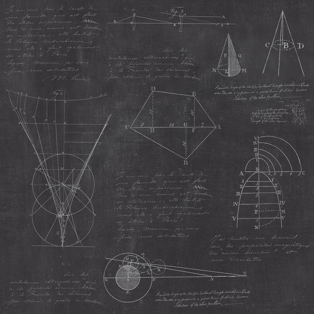 MindTheGap NEWTON GEOMETRY VINTAGE SCIENCE Wallpaper