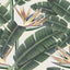 MindTheGap TROPICAL BLOOM TROPICAL Wallpaper