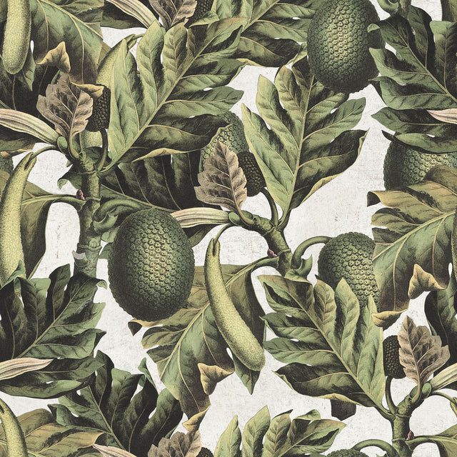 MindTheGap EXOTIC FRUIT I TROPICAL Wallpaper
