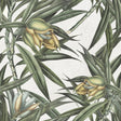 MindTheGap EXOTIC FRUIT II TROPICAL Wallpaper