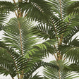 MindTheGap JARDIN TROPICAL TROPICAL Wallpaper