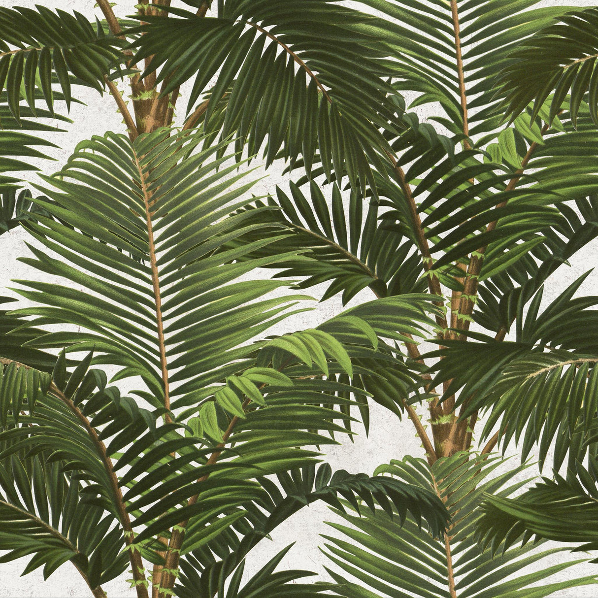 MindTheGap JARDIN TROPICAL TROPICAL Wallpaper