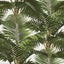 MindTheGap JARDIN TROPICAL TROPICAL Wallpaper
