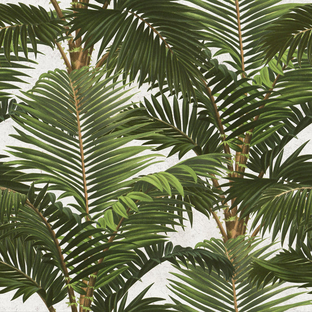 MindTheGap JARDIN TROPICAL TROPICAL Wallpaper