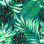 MindTheGap RAINFOREST TROPICAL Wallpaper