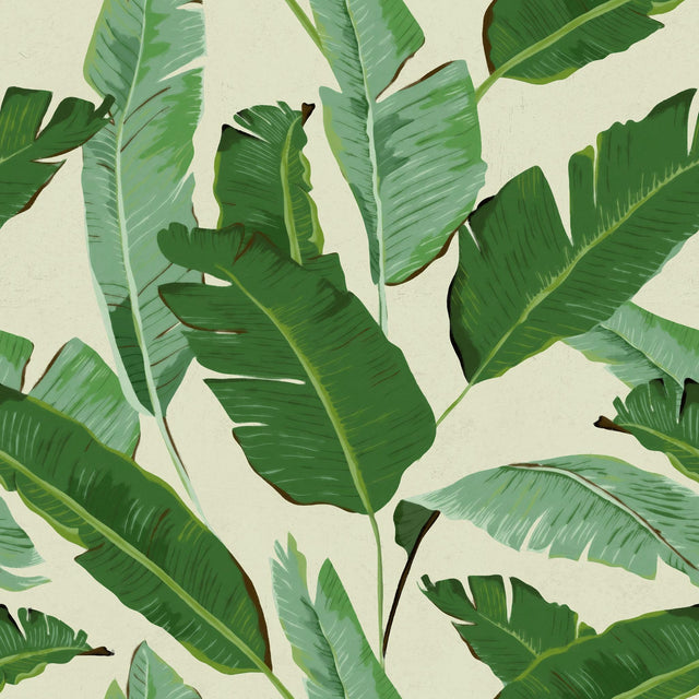 MindTheGap BANANA LEAVES TROPICAL Wallpaper