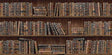 MindTheGap BOOK SHELVES CLASSIC Wallpaper