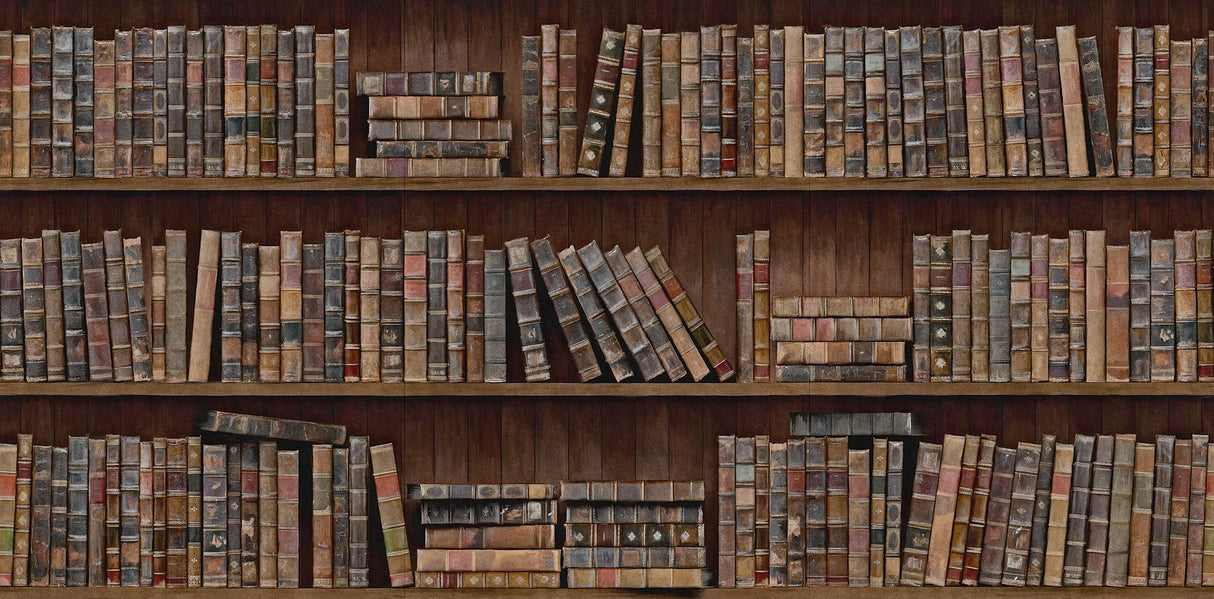 MindTheGap BOOK SHELVES CLASSIC Wallpaper