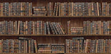 MindTheGap BOOK SHELVES CLASSIC Wallpaper
