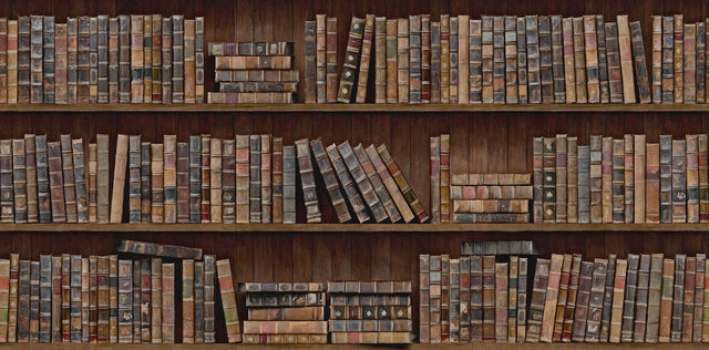 MindTheGap BOOK SHELVES CLASSIC Wallpaper