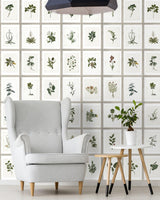 MindTheGap BOTANY The Antiquarian Wallpaper