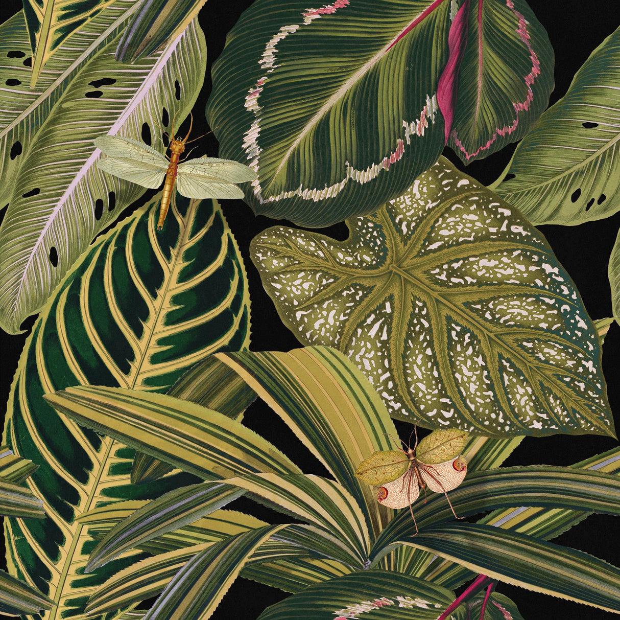 MindTheGap AMAZONIA The Rediscovered Paradise Wallpaper