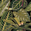 MindTheGap AMAZONIA The Rediscovered Paradise Wallpaper
