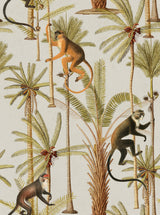 MindTheGap BARBADOS The Rediscovered Paradise Wallpaper