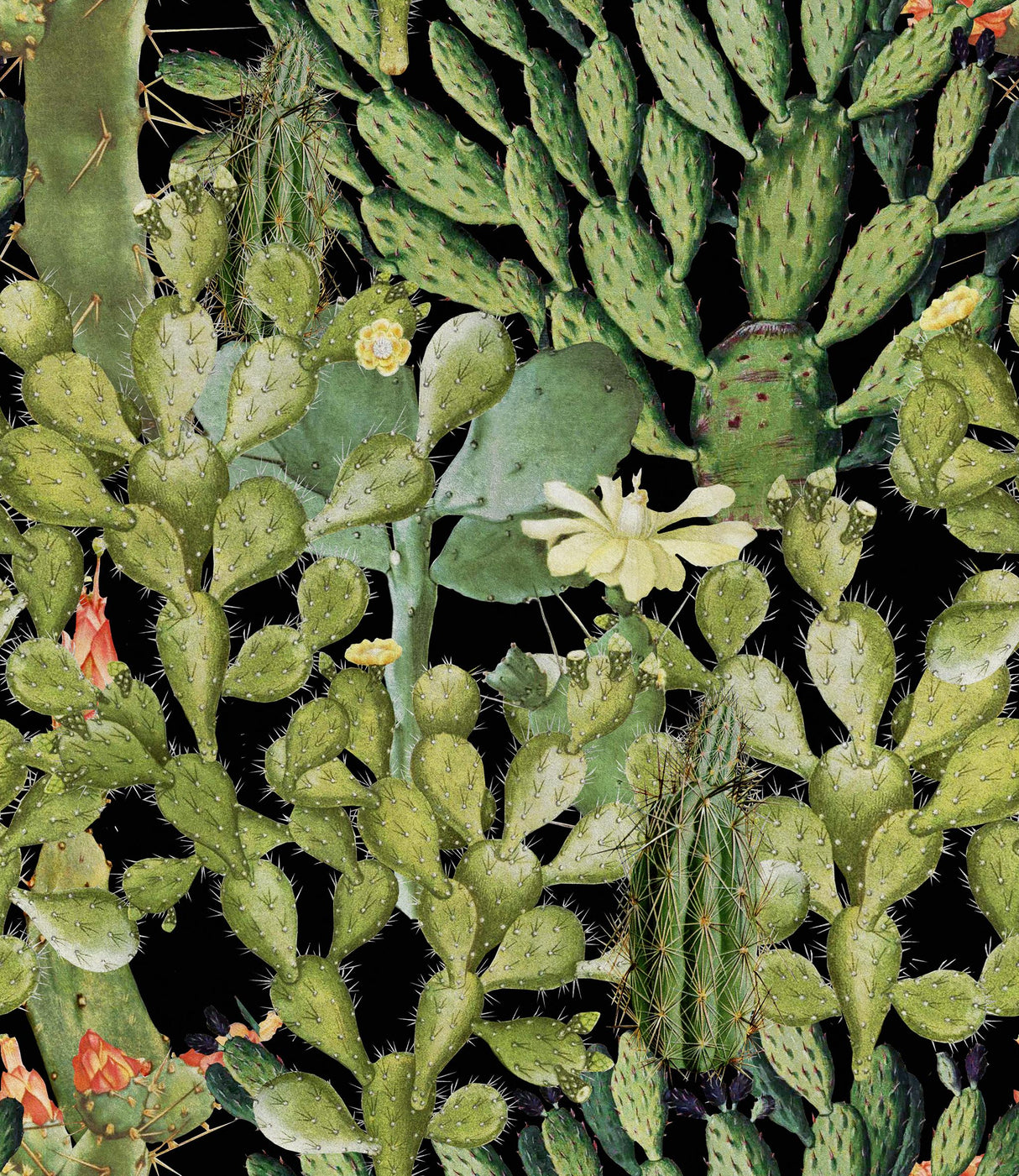 MindTheGap OPUNTIA ANTHRACITE The Rediscovered Paradise Wallpaper