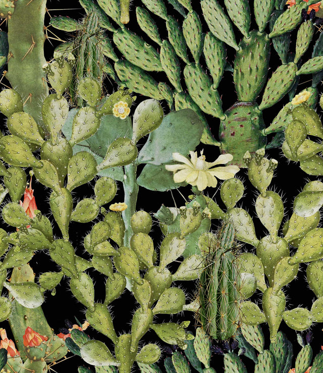 MindTheGap OPUNTIA ANTHRACITE The Rediscovered Paradise Wallpaper