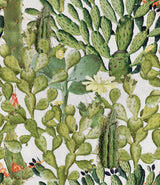 MindTheGap OPUNTIA The Rediscovered Paradise Wallpaper